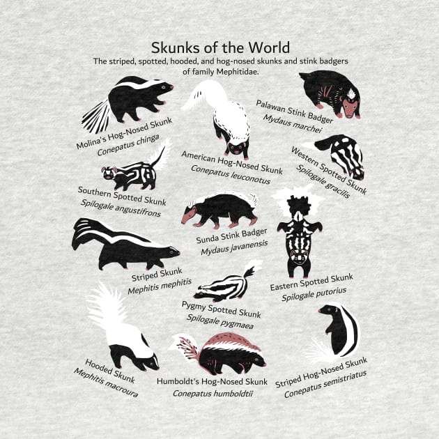 Skunks of the World: Species of Mephitidae by ELMayer